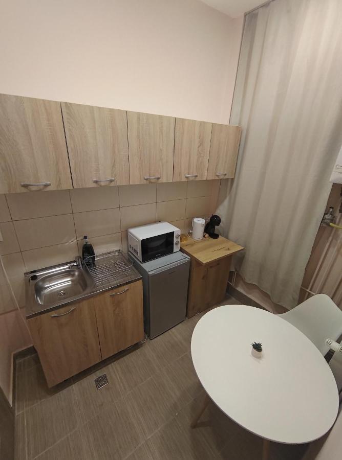Lovely Apartment In The Heart Of The City Timisoara Exterior photo