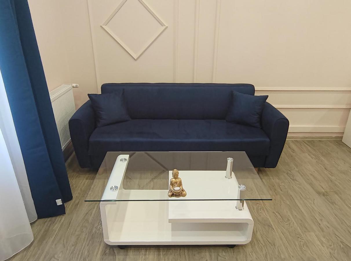 Lovely Apartment In The Heart Of The City Timisoara Exterior photo